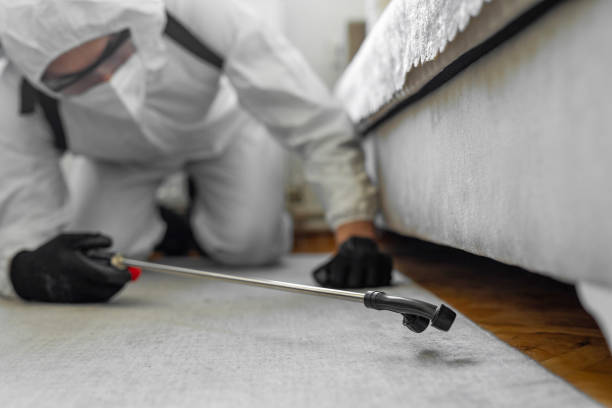 Professional Bed Bug Control technician working in Decatur, IN